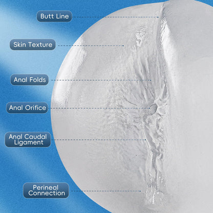 Male Masturbator Realistic Pocket Pussy Vagina Textured with 7.5in Depth Soft and Fleshy Texture,Penis Training Masturbators Sex Machine Toy for Men (Transparent)
